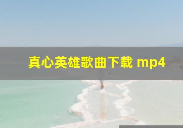 真心英雄歌曲下载 mp4